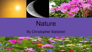 Nature Costume — Tech Theatre 3,4