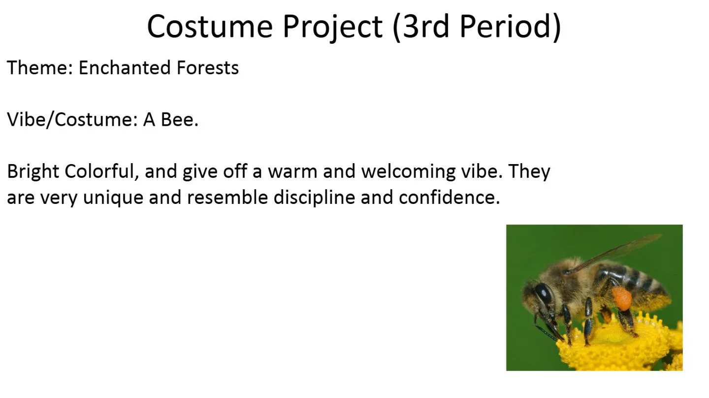 Costume Project — Tech 1,2